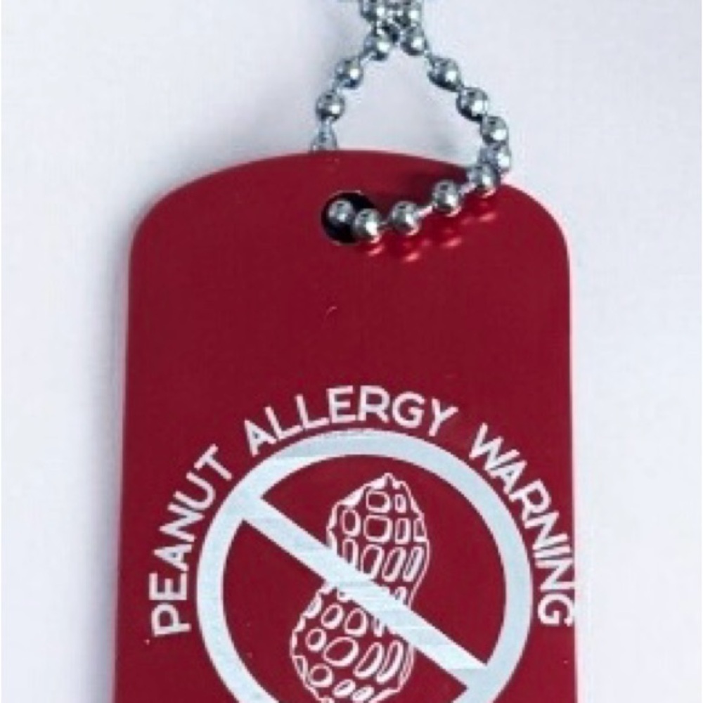 Allergy key chain, bag tag, purse tag or necklace